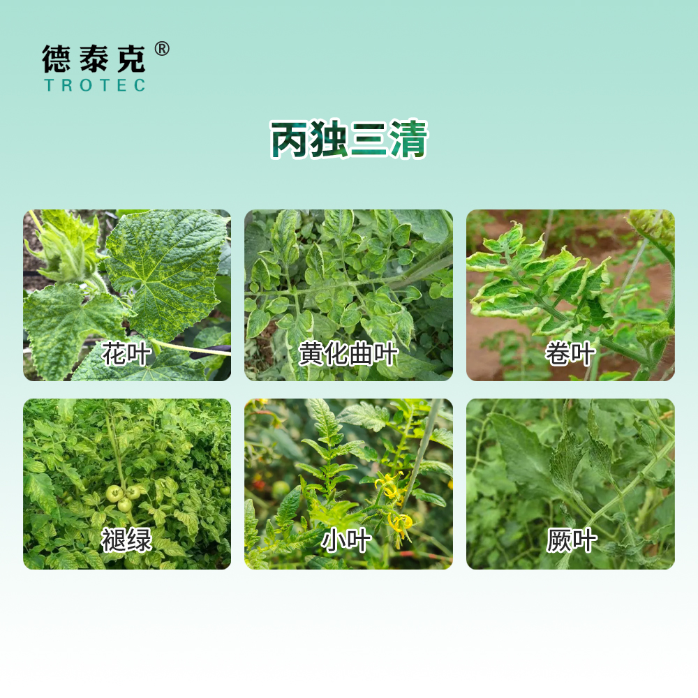 主图-4 拷贝.jpg