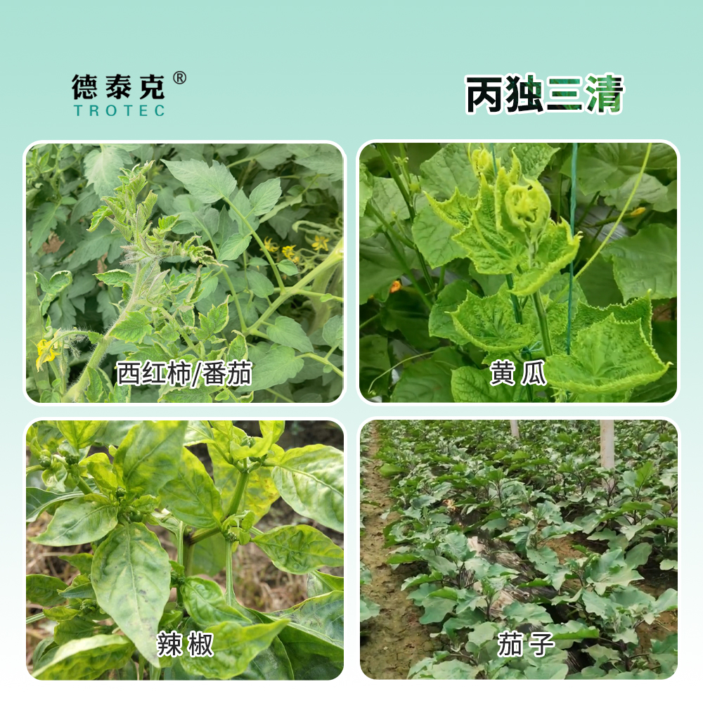 主图-3 拷贝.jpg