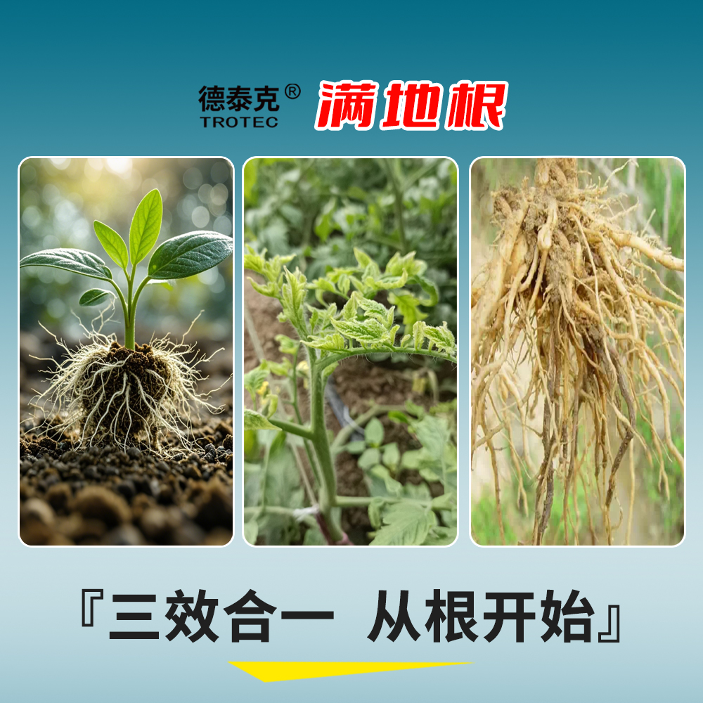主图-2 拷贝