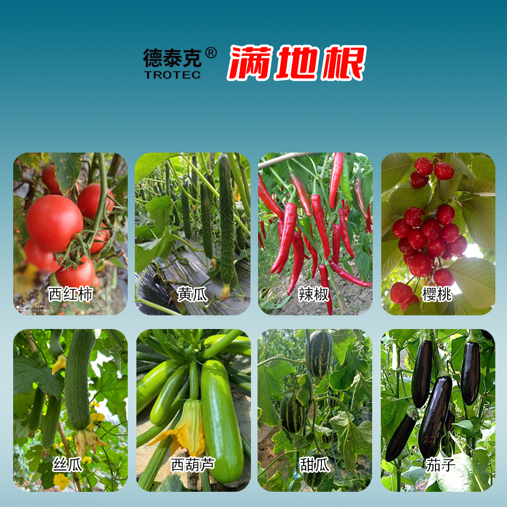 主图-3 拷贝