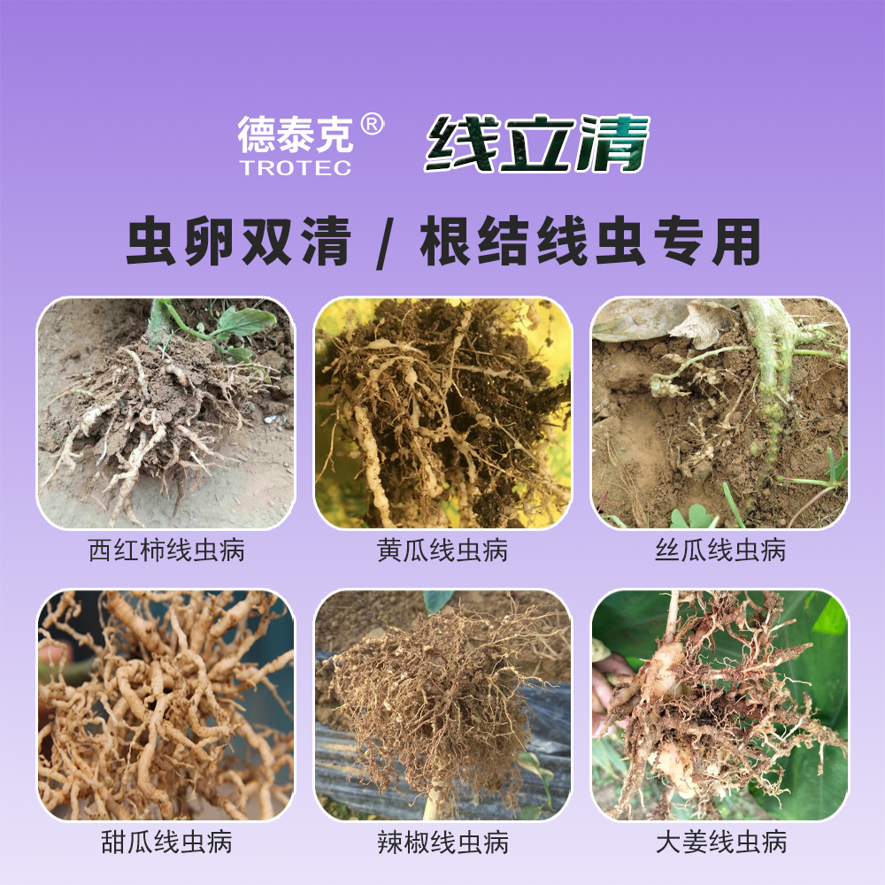 主图2 拷贝-2